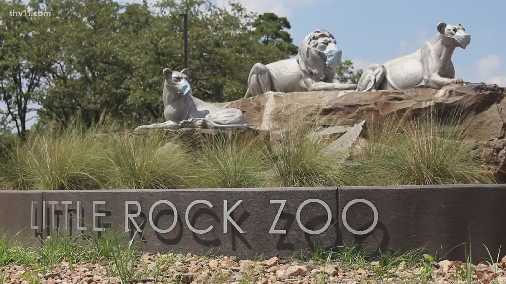 Little Rock Zoo, AR NetLocal